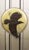 Flicker Curly BIRD CROPT IWF.jpg