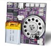 Sound Module.jpg