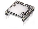 MP3 Player with microSD card.jpg