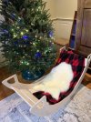 IMG_2878.jpeg