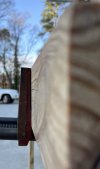 IMG_7679.jpeg