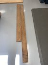 IMG_1481.jpeg