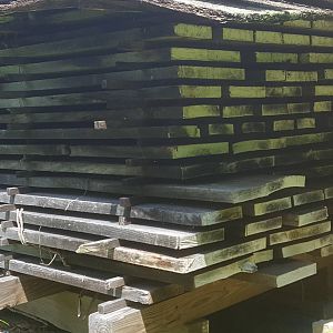 wood stacked to dry
