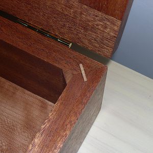 Mahogany Box Maple Spline Joint
