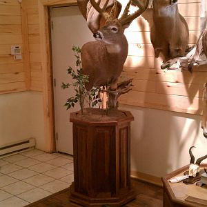 Walnut Octagon Pedestal Base w/ 2-Deer