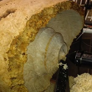 Natural Edge Box Elder Burl