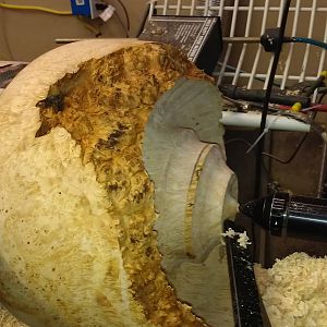 Natural Edge Box Elder Burl