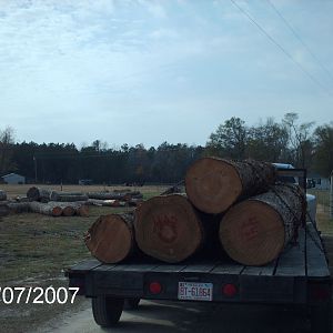 Cypress logs