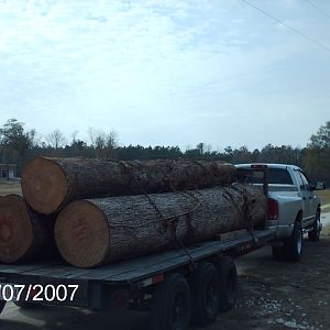 Cypress logs