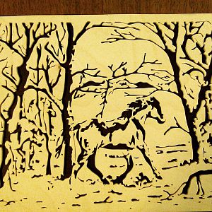 Face in the woods