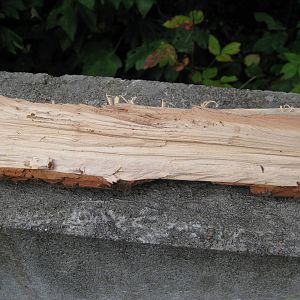 Split Firewood ID