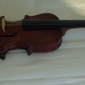 Fixed Violin