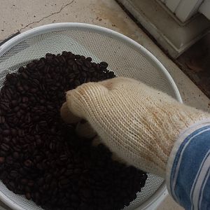 cooling_beans_reduced