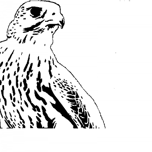 Falcon pattern modified by cskipper
