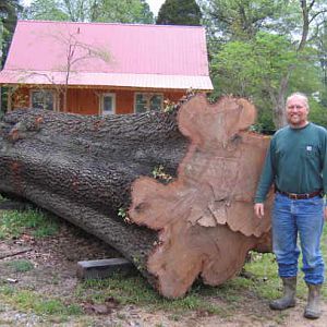 Monroe oak log