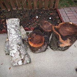 two walnut sections and two holly sections