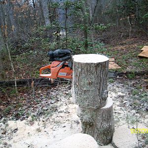 Plunge cutting a stump/log