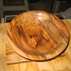 Ambrosia Maple Bowl