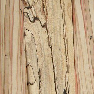 Spalted Sycamore 1