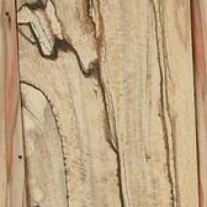 Spalted Sycamore 2