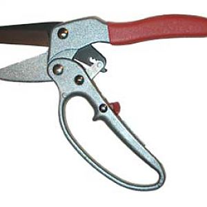 Pruner