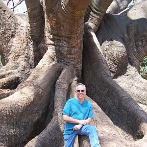 Me with a white cotton silk wood tree