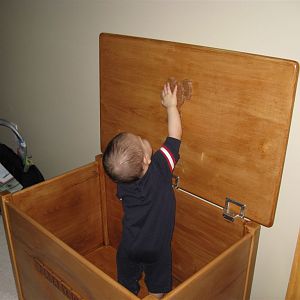 Toy Box for Grandson