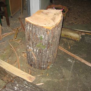 Red Oak log from Gotcha6!