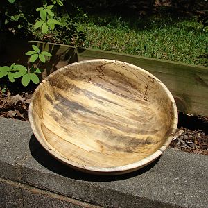 Spalted Holly bowl