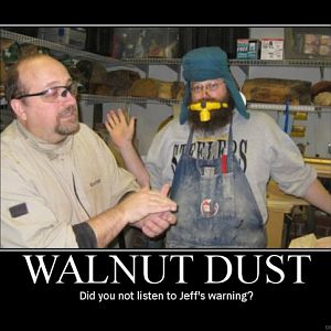 walnut_dust