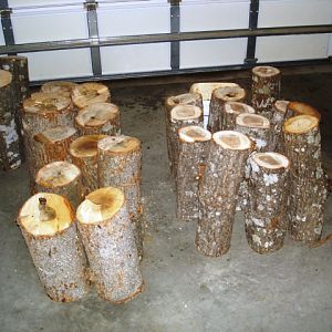 Wood blanks before resawing