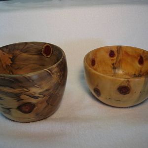Norfolk Pine bowls