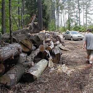 Everett_Log_Piles_006