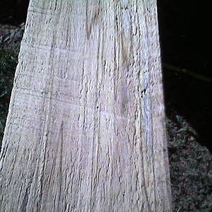 Spalted_Maple3