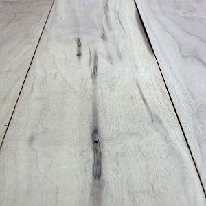 Mystery_Wood_2