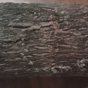 Can you name this wood?  Bark