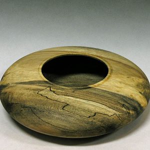 Spalted Holly HF