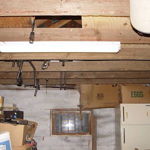 Inside rafters of the old garage