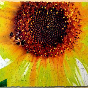 Bee and a sunflower