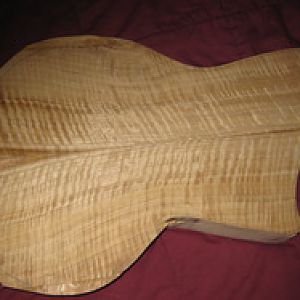 tasmanian oak top guitar
