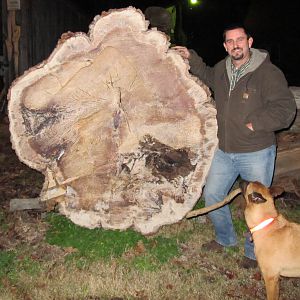 MikeH and The Roxboro log