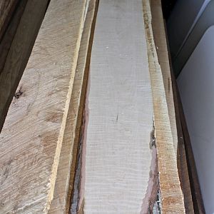 maple lumber