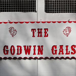 Godwin_Gals5close