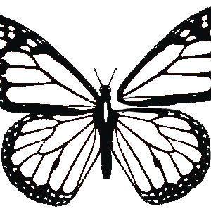 butterfly_pattern