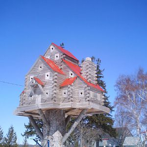 extreme birdhouses