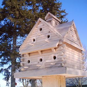 extreme birdhouses