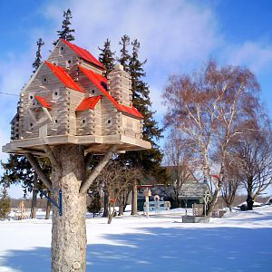 extreme birdhouses