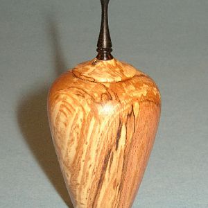 Spalted Beech Palletwood