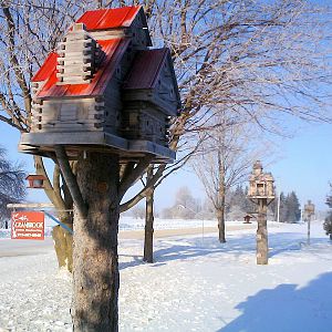 extreme birdhouses