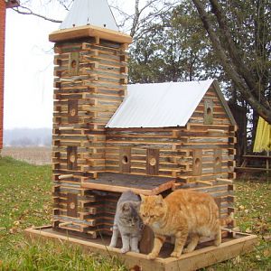 Extreme Birdhouses